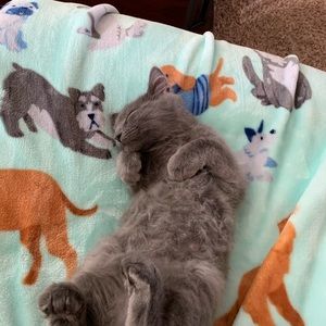 Meet your Posher, Amber